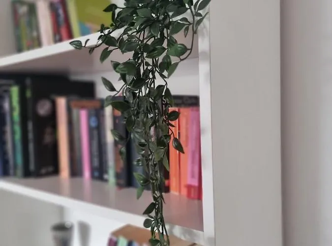 Naehe Duesseldorf Messe Expo, Airport, Train Station